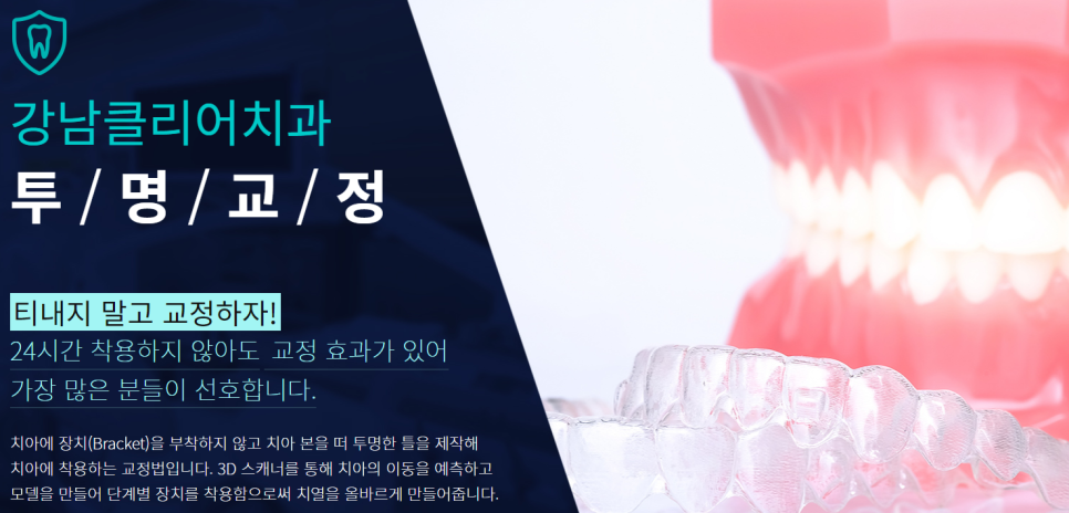 도곡동교정치과 반듯한 치아를 갖기 위한 준비 관련 이미지 2