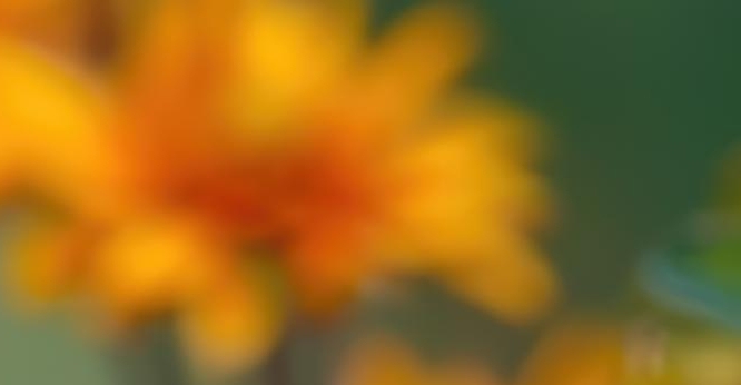 임플란트 정품 확인하고 내게 맞는 식립방법으로 관련 이미지 26