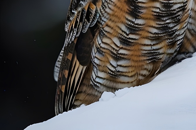 급성장염에 좋은 음식 증상 낫는기간은? 관련 이미지 14
