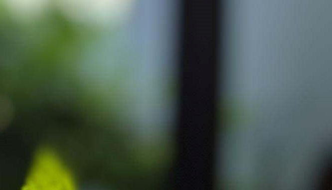 bmi 뜻 지수로 파악하는 건강상태 계산하기 방법 관련 이미지 10