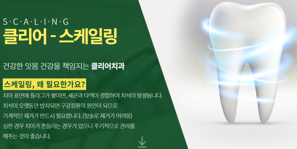 강남구치과 알아본다면 강남임플란트가격 부터 관련 이미지 5