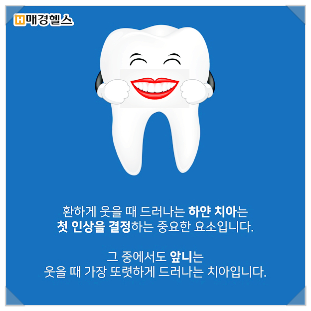 클리어 치과 상식 - 앞니 부분교정 전 꿀팁! 관련 이미지 2