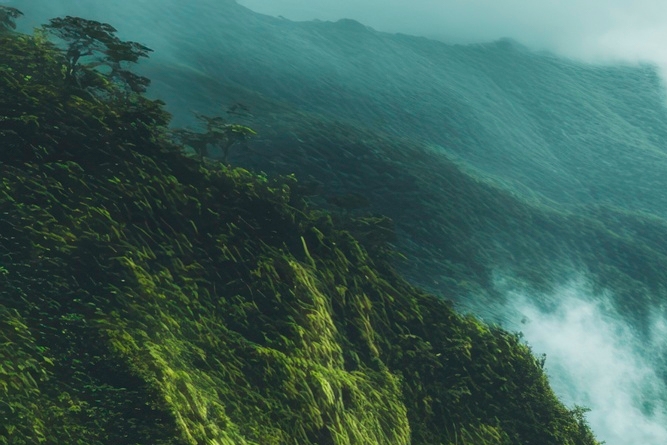 치아 사이 충치 조기에 발견해야 관련 이미지 23