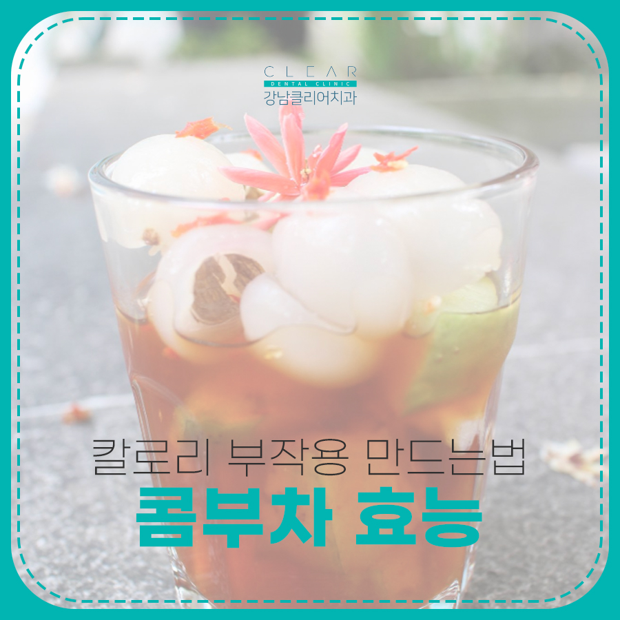 콤부차 효능 칼로리 부작용 만드는법 정리 관련 이미지 1