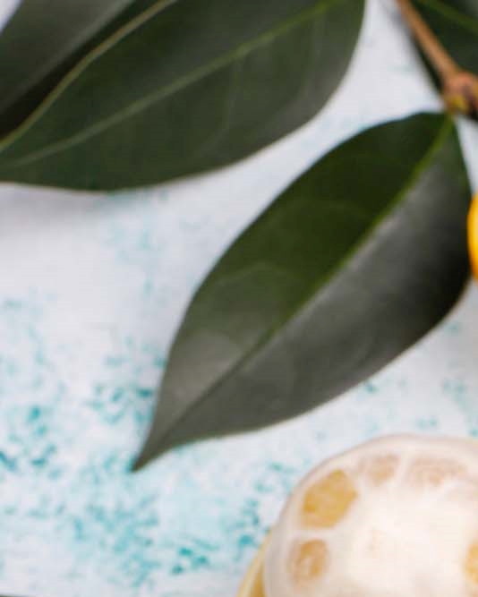 강남클리어치과 하얀 치아를 만들기 위한 방법은 관련 이미지 15