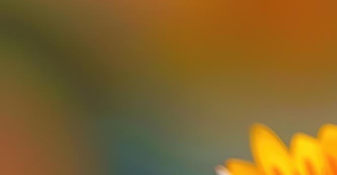 임플란트 정품 확인하고 내게 맞는 식립방법으로 관련 이미지 24