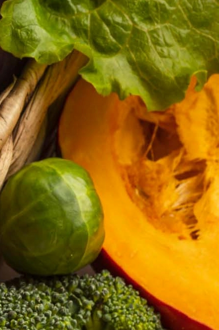 다래끼 나는 이유 전염여부 빨리 낫는법 관련 이미지 12