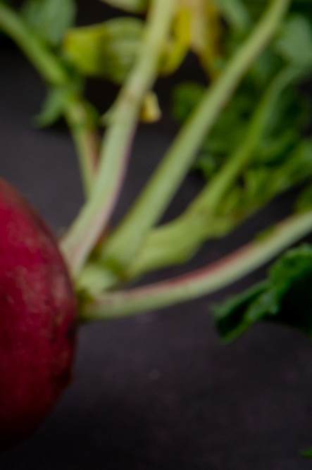 콜라비 효능 부작용 보관법 고르는법 알아보기 관련 이미지 12