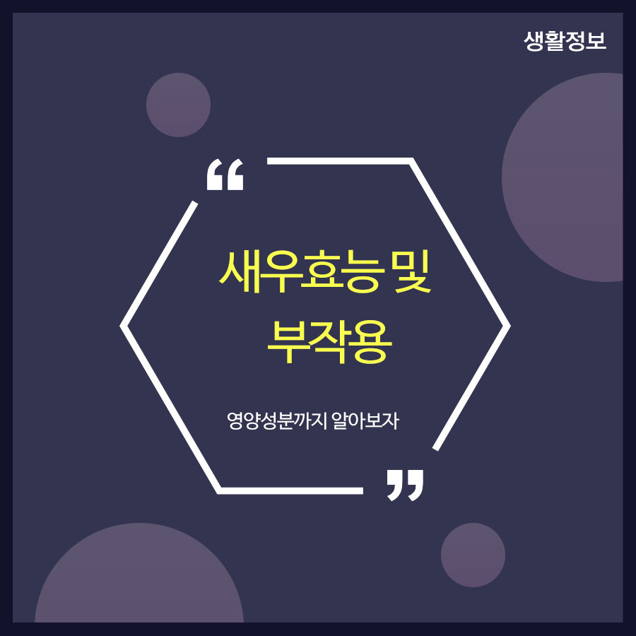 새우효능 및 부작용 영양성분까지 알아보자 관련 이미지 1