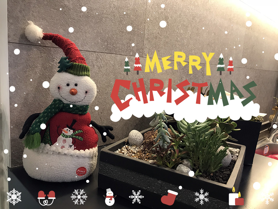 클리어치과와 함께 메리 크리스마스♥ 관련 이미지 7