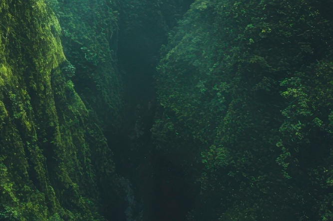 치아 사이 충치 조기에 발견해야 관련 이미지 30