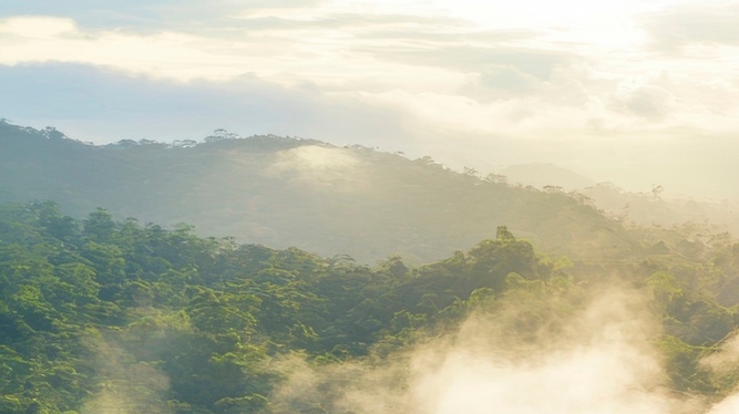 치아 사이 충치 조기에 발견해야 관련 이미지 14