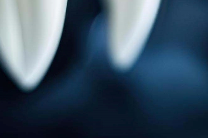 강남클리어치과 상악동에 주목해야해요 관련 이미지 22