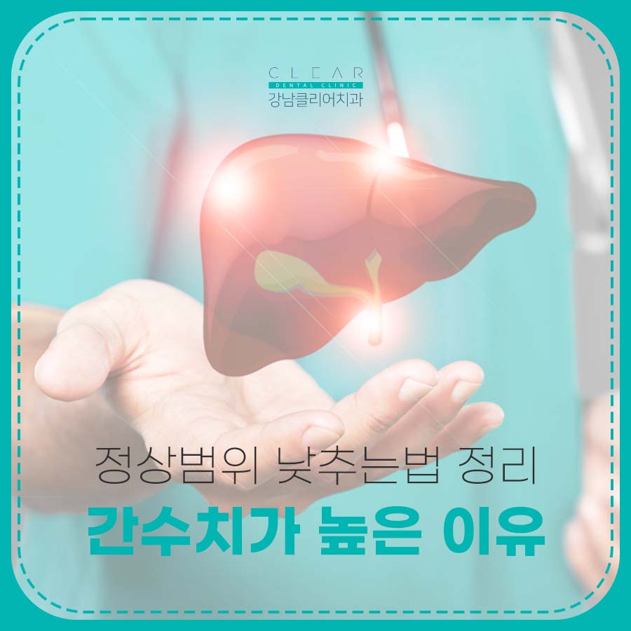 간수치가 높은 이유 정상범위 낮추는법 정리 관련 이미지 1