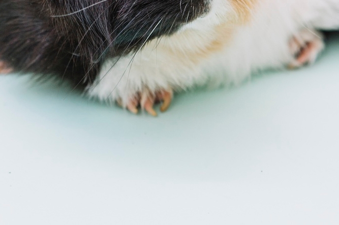 허리 다리저림 증상 좌골신경통 원인 치료방법은? 관련 이미지 13