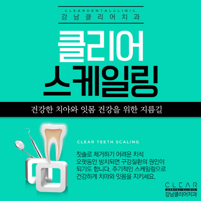 치아 스케일링 하는 이유, 효과, 주의사항 관련 이미지 1