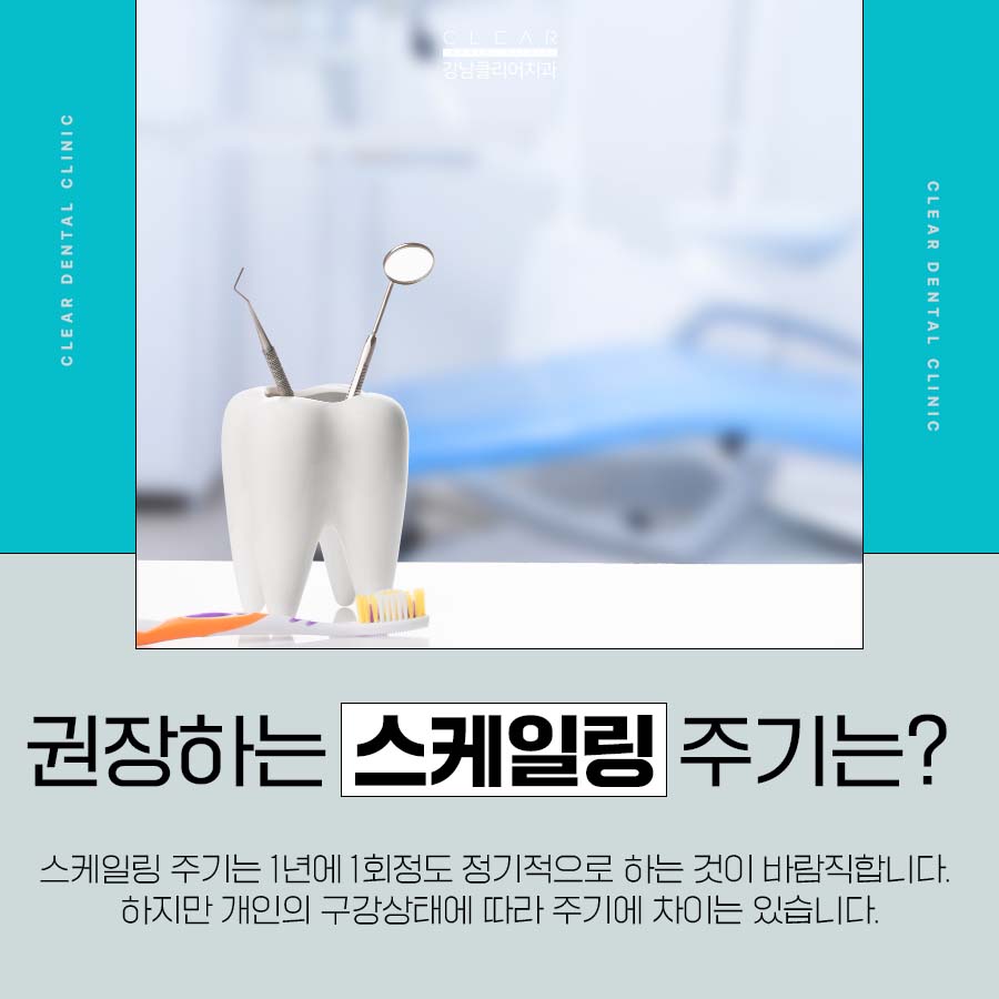 치아 스케일링 주기 치석관리를 위해서 관련 이미지 5