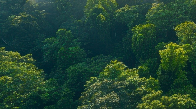치아 사이 충치 조기에 발견해야 관련 이미지 20