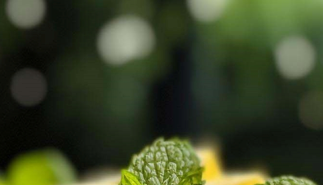 bmi 뜻 지수로 파악하는 건강상태 계산하기 방법 관련 이미지 9