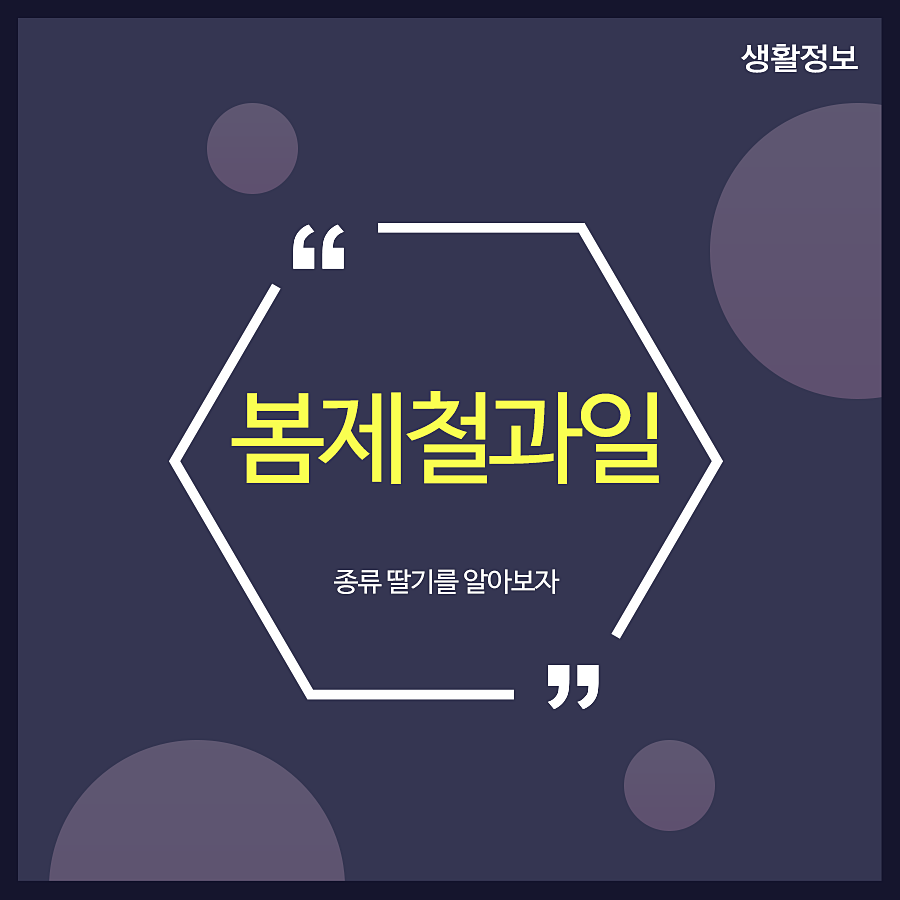 봄제철과일 종류 딸기를 알아보자 관련 이미지 1