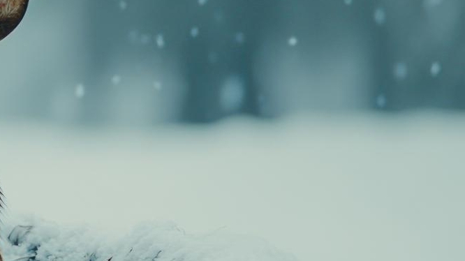 배에 가스 차는 이유 가스 빼는 자세는? 관련 이미지 10