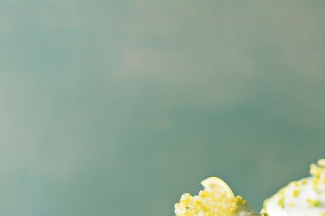 강남역 치과 임플란트 체크해야 할 곳 관련 이미지 13