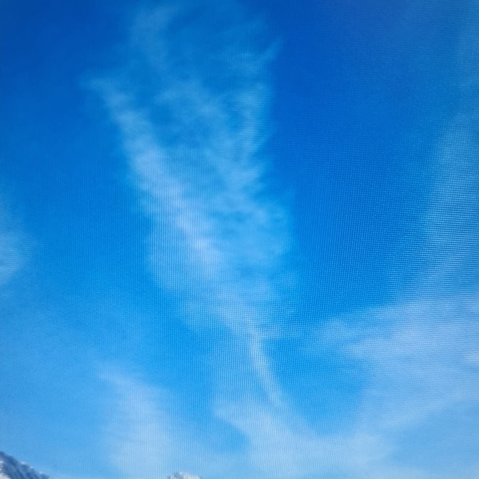된장 효능 부작용 다양한 식재료 관련 이미지 13