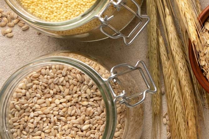 당뇨 초기증상 피부 가려움증 원인 해결방법 관련 이미지 9