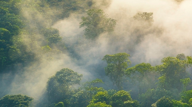 치아 사이 충치 조기에 발견해야 관련 이미지 17