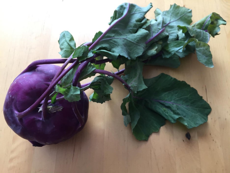 콜라비 효능 부작용 보관법 고르는법 알아보기 관련 이미지 6