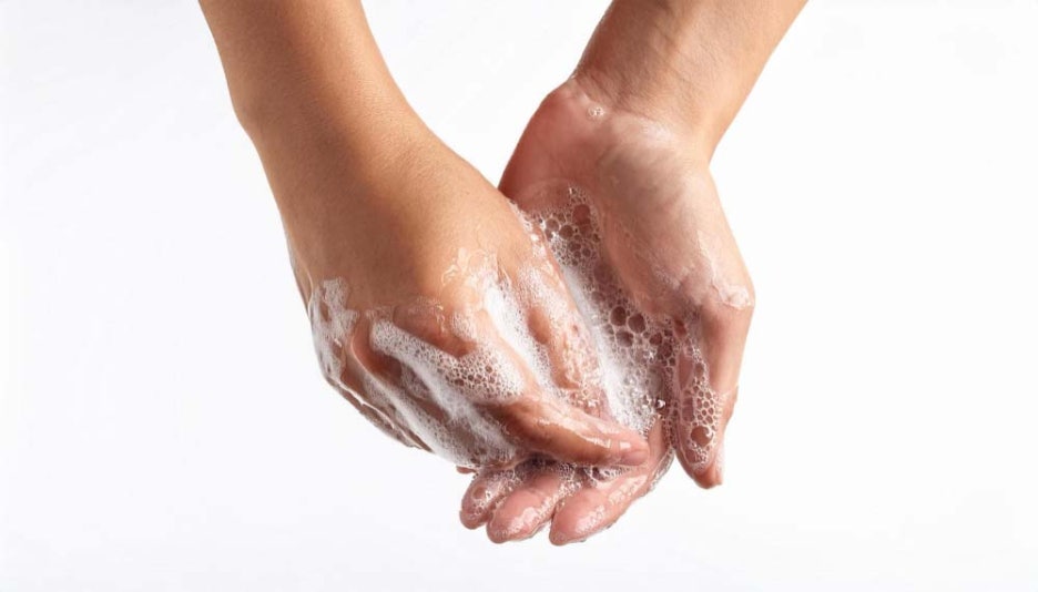 겨울철 굴 효능 제철시기 노로바이러스 증상 주의 관련 이미지 6