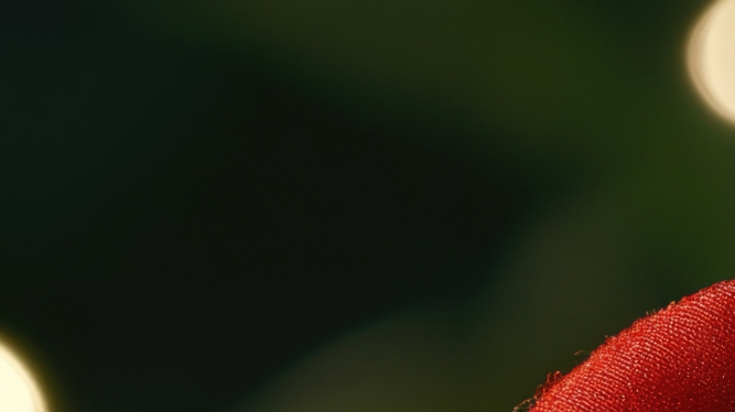 임플란트 빠졌을때 빠지는 이유 대처법 알려드려요 관련 이미지 25