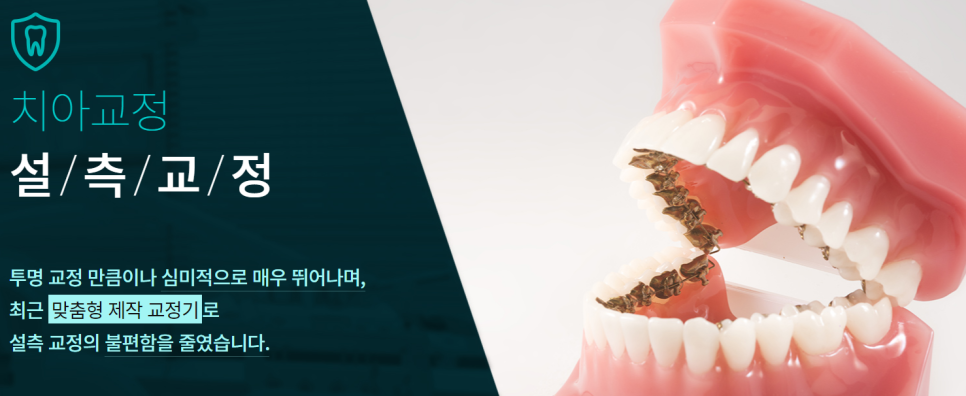 강남역치아교정치과 알아보는 법 관련 이미지 4
