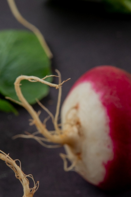 콜라비 효능 부작용 보관법 고르는법 알아보기 관련 이미지 11