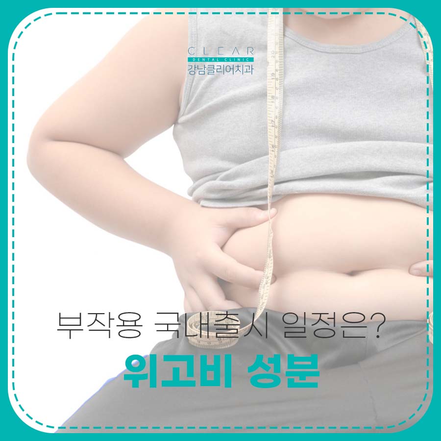 위고비 성분 및 부작용 국내출시 일정은? 관련 이미지 1