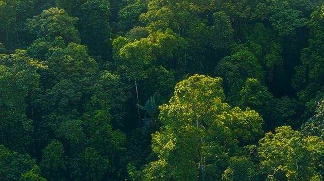 치아 사이 충치 조기에 발견해야 관련 이미지 21