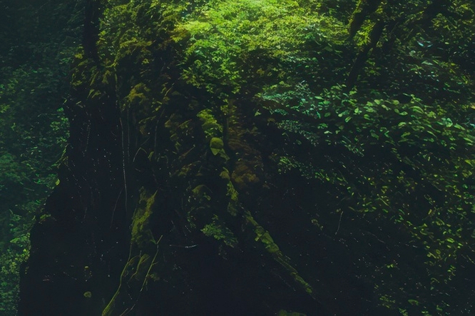 치아 사이 충치 조기에 발견해야 관련 이미지 31