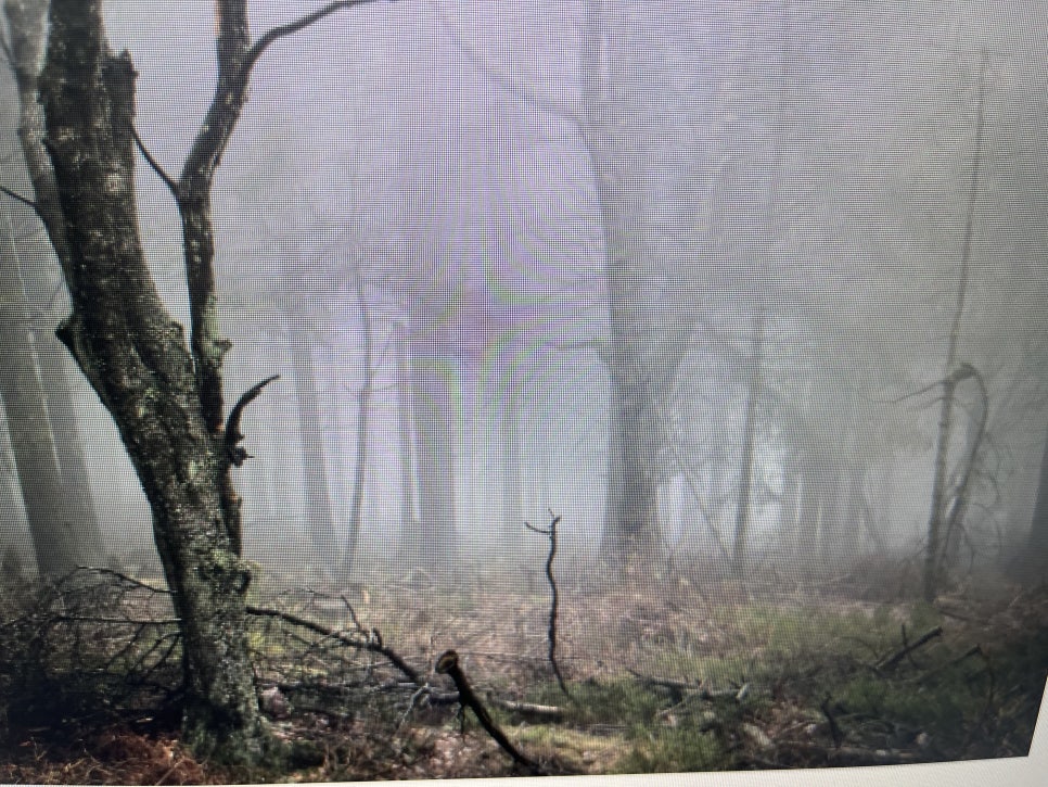 서초동임플란트 오래 사용하는 비결 관련 이미지 21