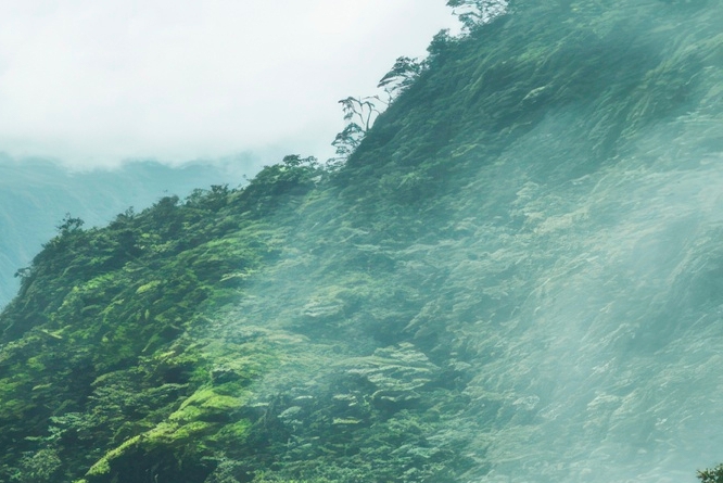 치아 사이 충치 조기에 발견해야 관련 이미지 25