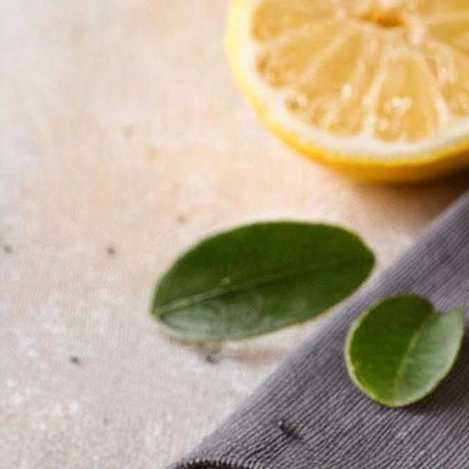 스케일링 피 원인 치료방법에 대해 관련 이미지 22