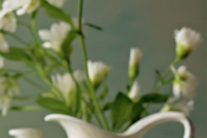 강남역 치과 임플란트 체크해야 할 곳 관련 이미지 15