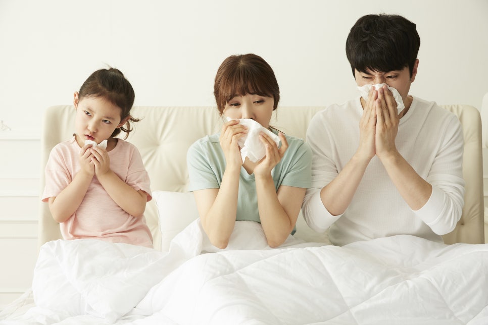비염증상 및 원인 코막힘이 심하다면? 관련 이미지 3