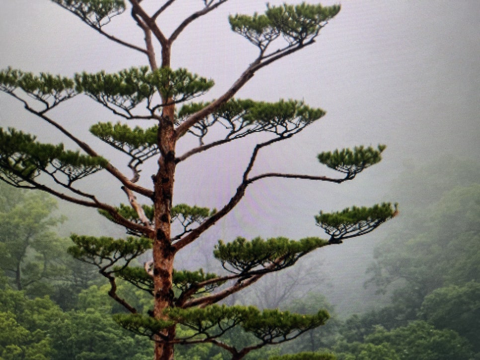 서초동임플란트 정품 사용 여부 확인은 필수 관련 이미지 14