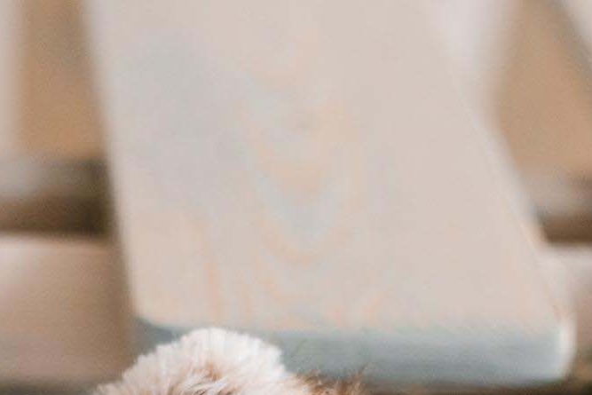 라미네이트 치아삭제 꼭 필요한 만큼만 해요 관련 이미지 25