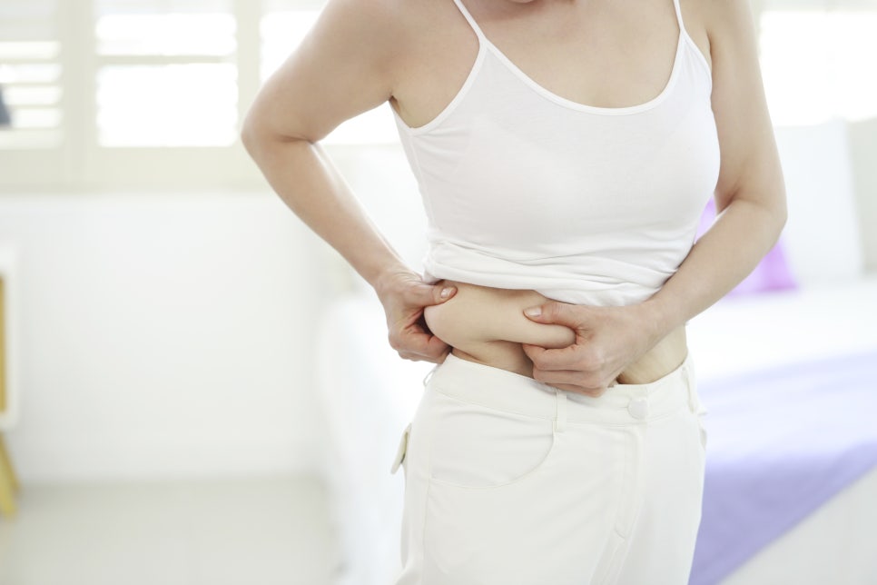 내장지방 빼는법 및 원인 합병증 예방을 위해서 관련 이미지 7