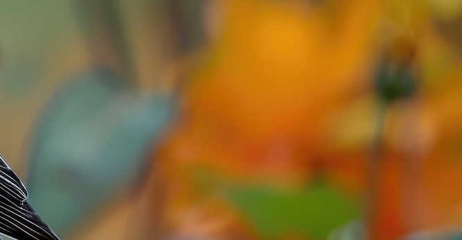 임플란트 정품 확인하고 내게 맞는 식립방법으로 관련 이미지 29