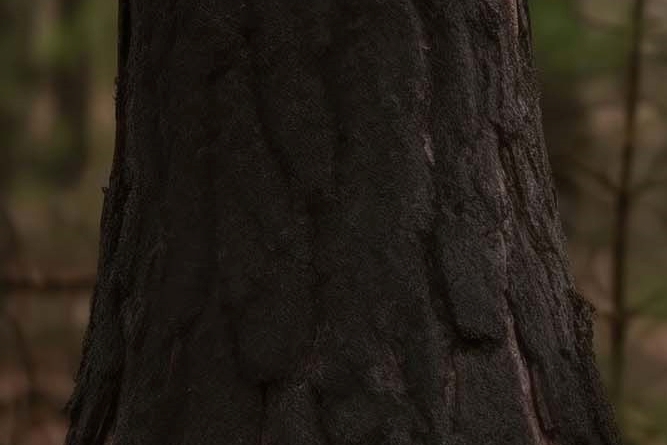 왼쪽 옆구리 콕콕 통증 원인 총정리 관련 이미지 9