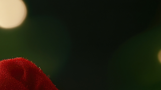 임플란트 빠졌을때 빠지는 이유 대처법 알려드려요 관련 이미지 26