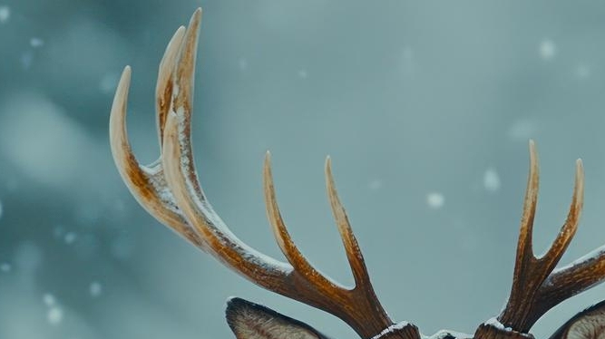 배에 가스 차는 이유 가스 빼는 자세는? 관련 이미지 7