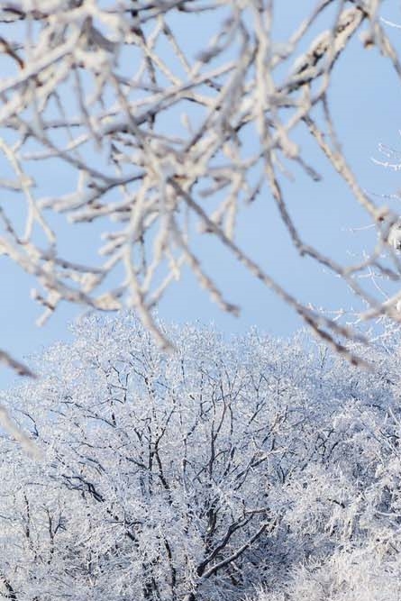 삼성동 임플란트 당일 식립이 가능한 경우는 관련 이미지 25